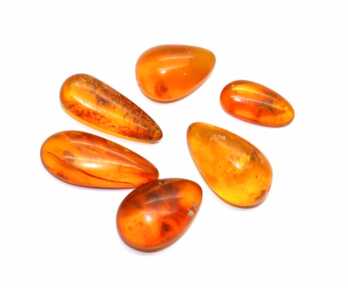 Amber with Insect, Weight: 4.36 Gr.