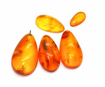 Amber with Insect, Weight: 7.36 Gr.