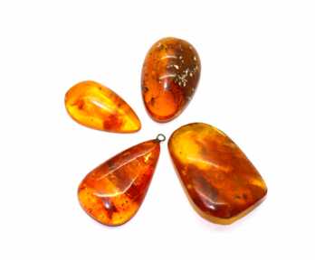 Amber with Insect, Weight: 10.11 Gr.