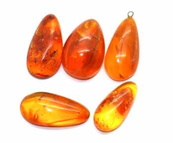 Amber with Insect, Weight: 8.11 Gr.