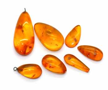 Amber with Insect, Weight: 6.93 Gr.