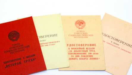 Комплект наград (13 шт.) + Документы, на имя "Плужникова Зинаида", СССР